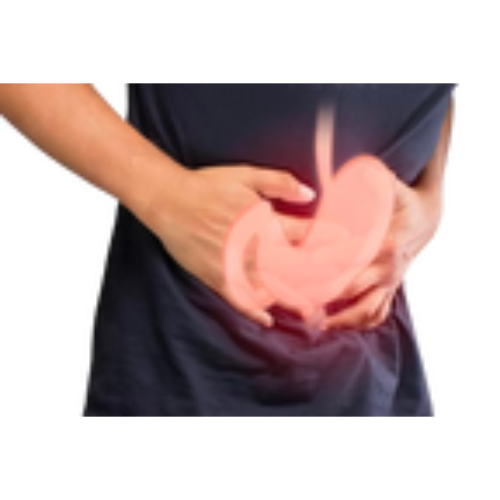 Stomach