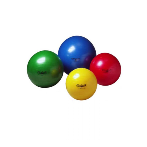 TheraBand Exercise Balls (Standard)