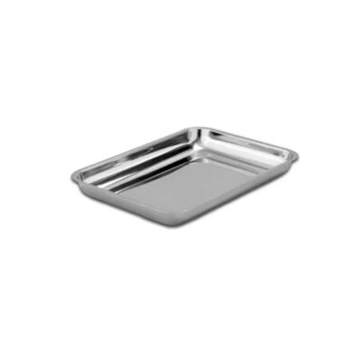 Stainless steel Instrument Tray - 313X218X31 Mm
