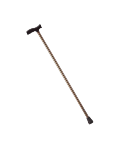 Walking Stick