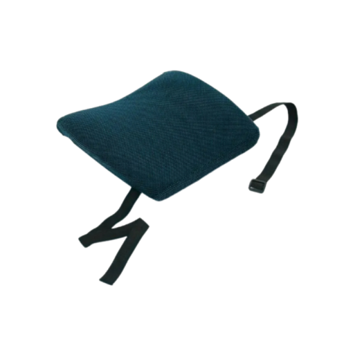 Sissel Back- Blue-1320