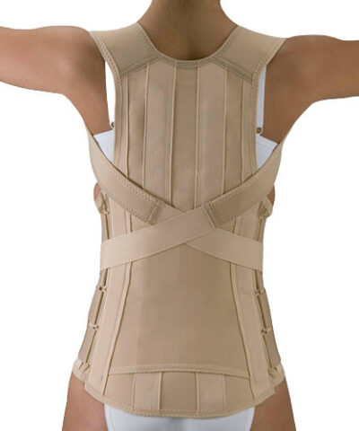 Orliman - Dorso Lumbar Support, Size 3, Beige, X-213