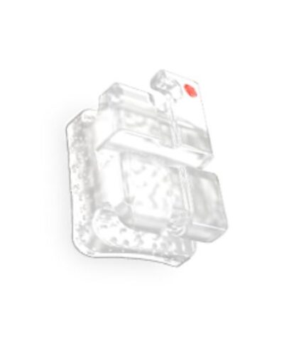 022 Vanish SLB MBT No Hooks