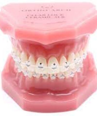 Accu Twin Bio Progressive