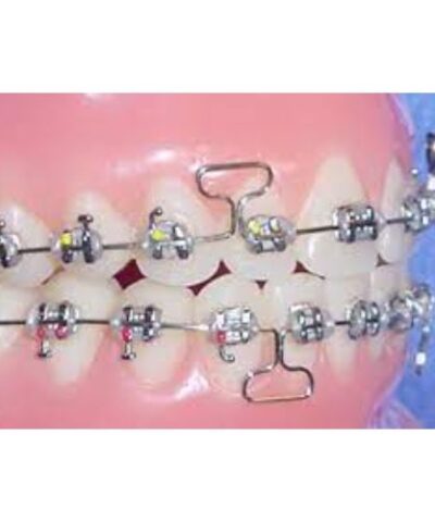 UL/LR Conlin Light Wire Composite Brackets Cuspid Bicuspid