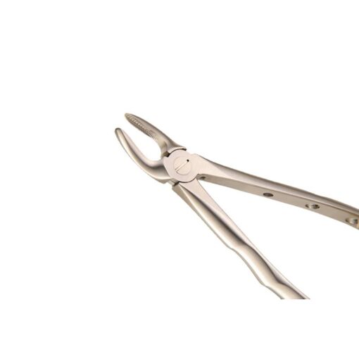 Clove - Dental Upper Root Extracting Forcep Fig 30 - AUGC-1039