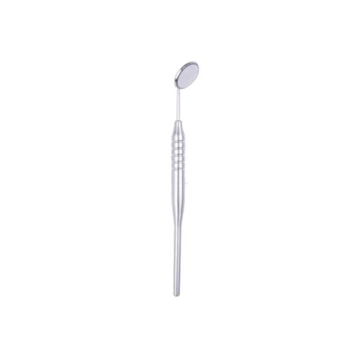Clove - Mirror Handle Hollow in Anatomic 10mm - AUGC-1016