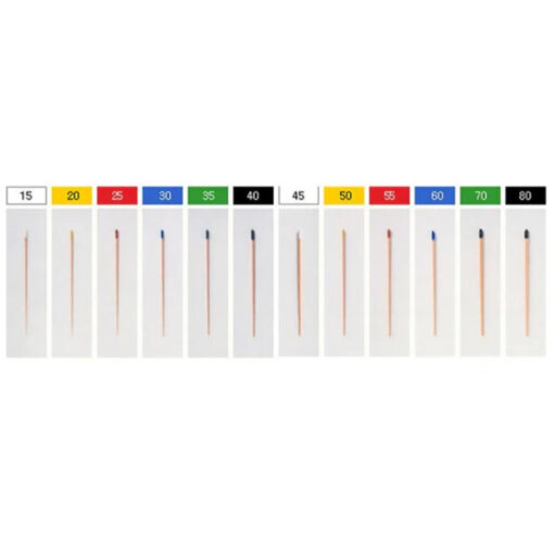 Euromed - Gutta Percha Points 04 Size 45-80 Marked - EM-11509