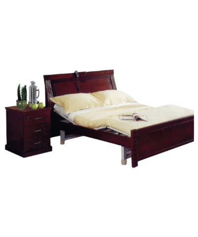3W Healthcare Electric Care Bed Series - 3WG-J205D