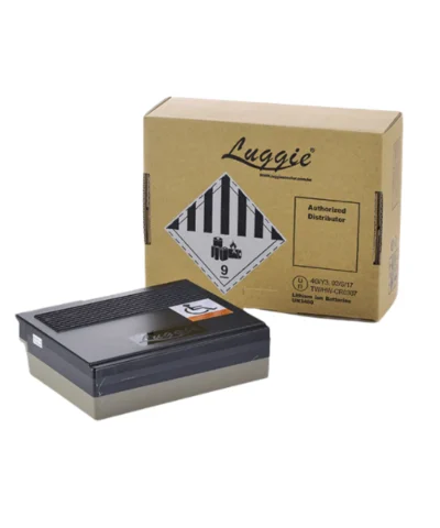 FreeRider Luggie 16.5Ah Lithium-Ion Battery - PA04-A703-B